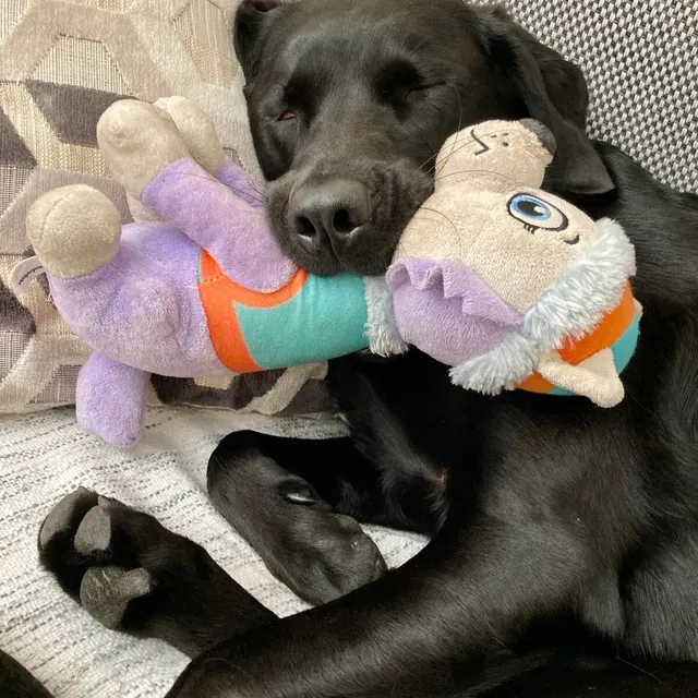 Gracie